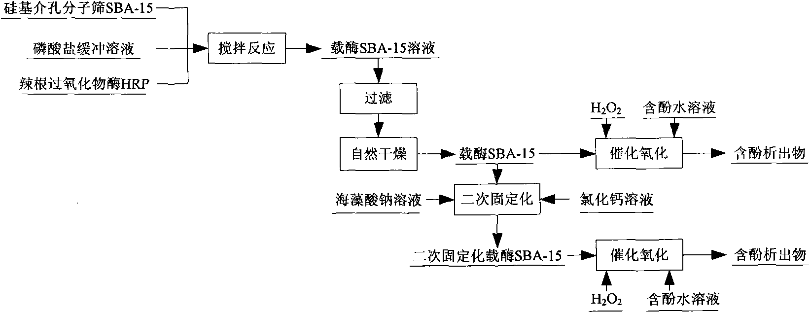 Method for separating out phenols substances in water by catalytic oxidation with enzyme-carrying silicon-based mesoporous molecular sieve SBA-15