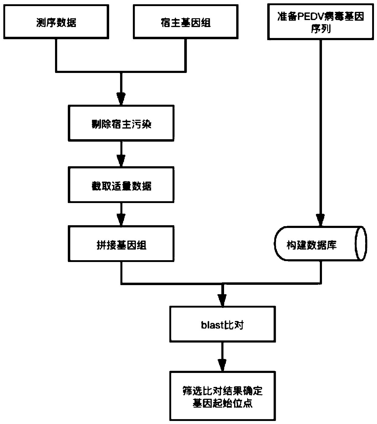 PEDV genome analysis method based on next-generation sequencing