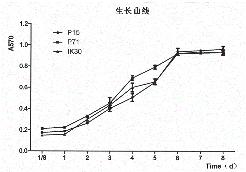 A strain of endometrial adenocarcinoma cell lines