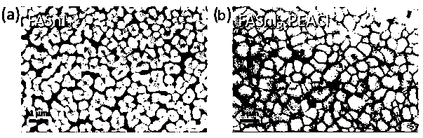 Method for preparing pure-phase high-index vertically-oriented tin-based perovskite thin film based on phenylethyl amine chloride