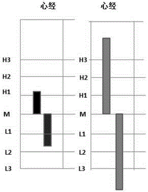 Traditional Chinese medicine holographic meridian diagnosis system