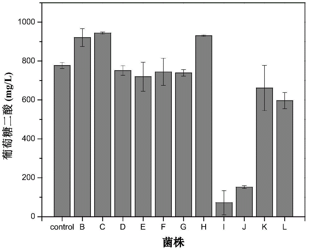 Method for producing glucaric acid by improving yeast fermentation by use of fusion expression