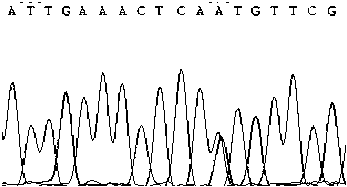 Detection method using prss2 gene as molecular marker of milk protein content