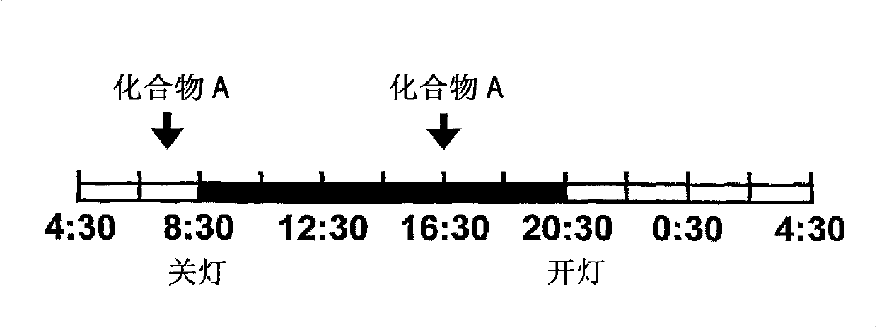 Agent for prophylaxis or treatment of substance abuse and dependence