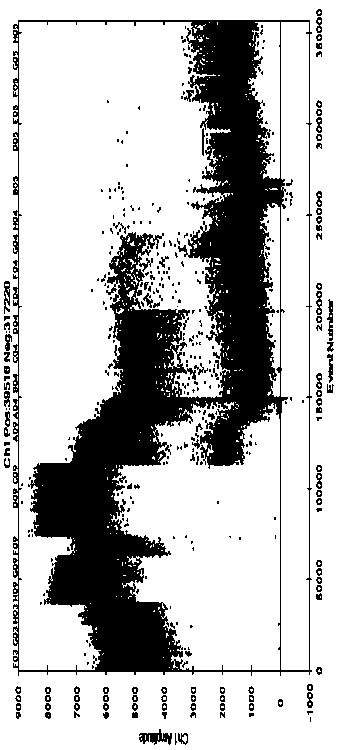 PCR detection method of enterohemorrhagic escherichia coli in vegetables