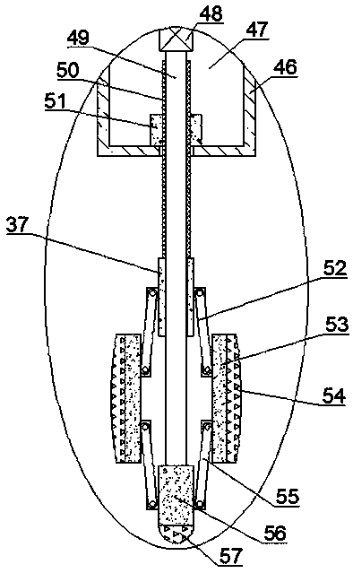 A spraying device based on solar vacuum tube heat-absorbing coating