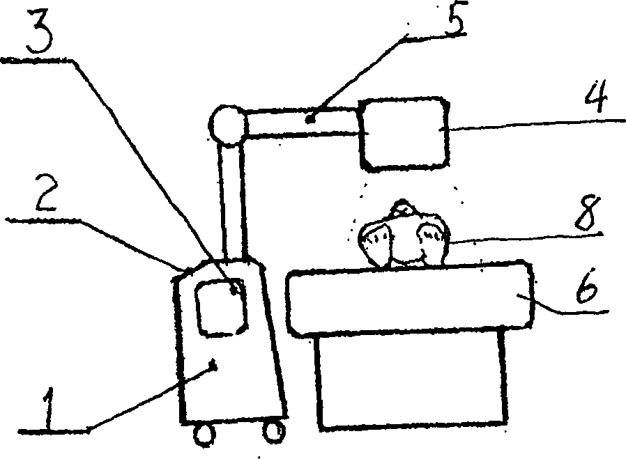 Biological electric wound therapeutical devices