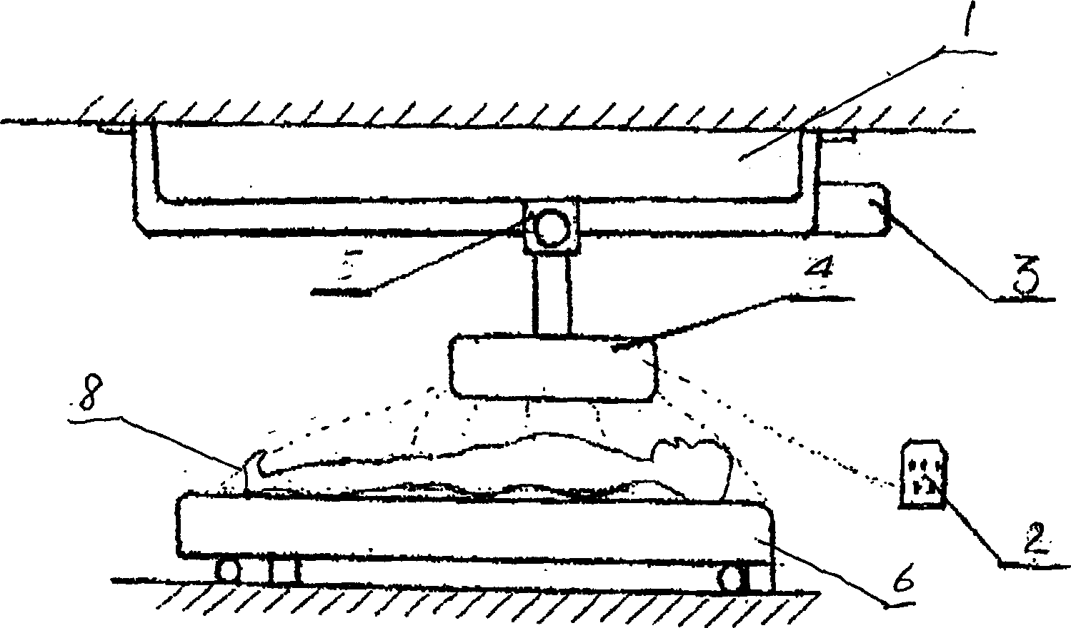 Biological electric wound therapeutical devices