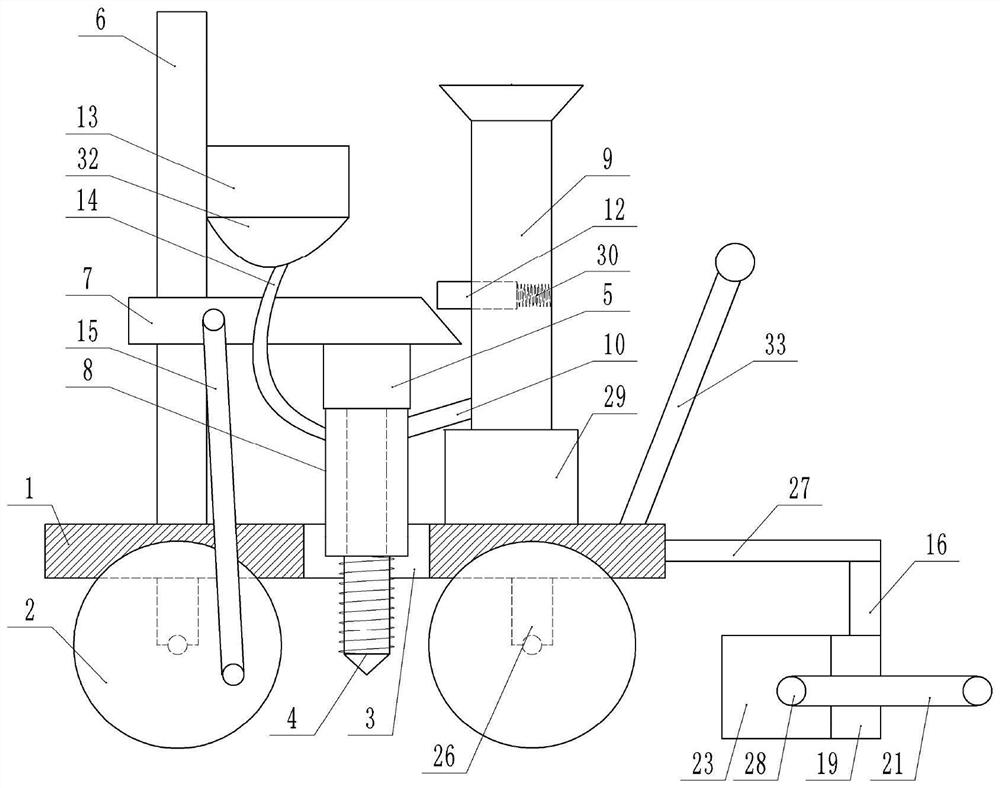 Cassia seed planting equipment