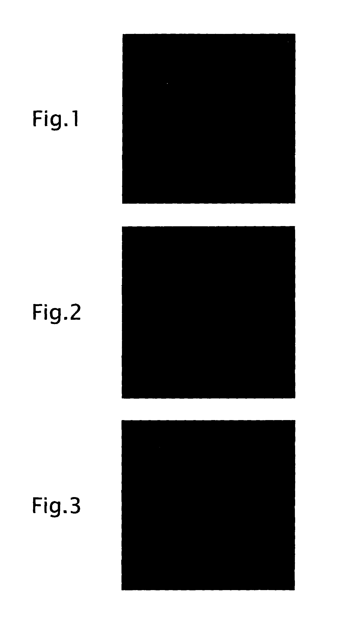 Production method of polycrystalline ceramic body