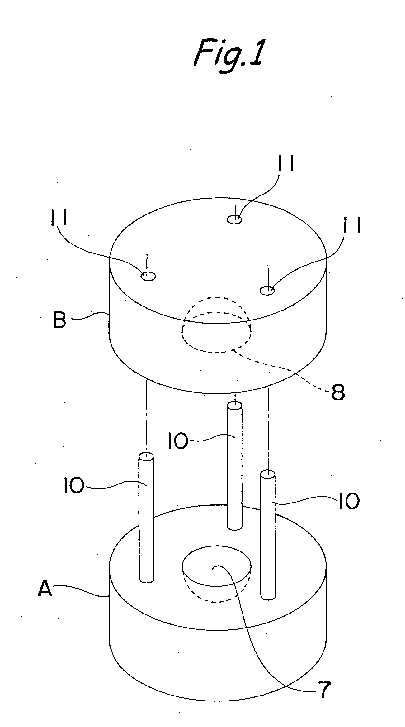 Ice cake making apparatus and method