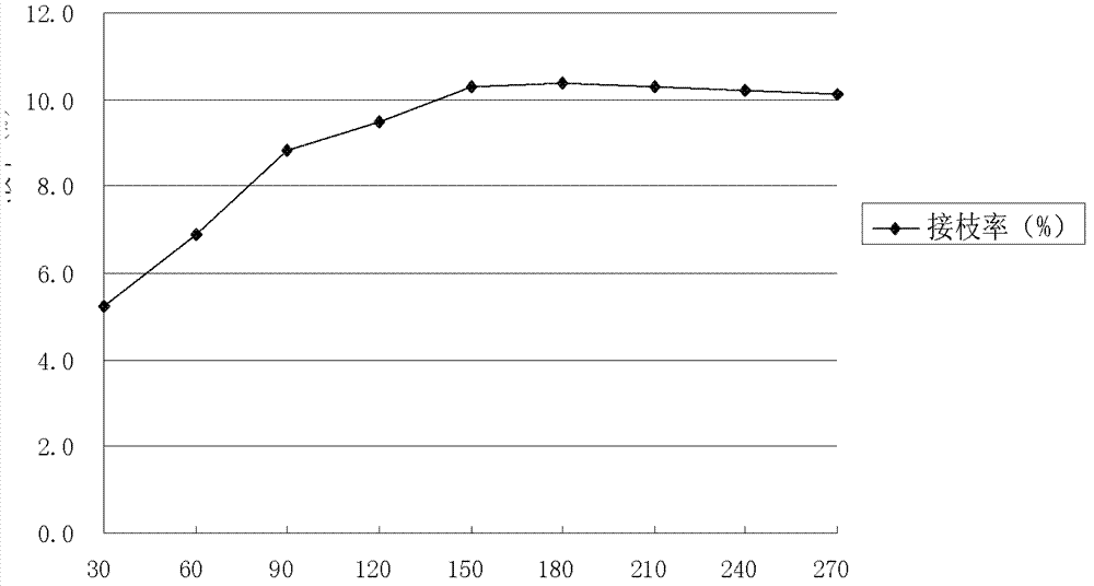 Composite modified graft starch for textile slurry and preparation method thereof