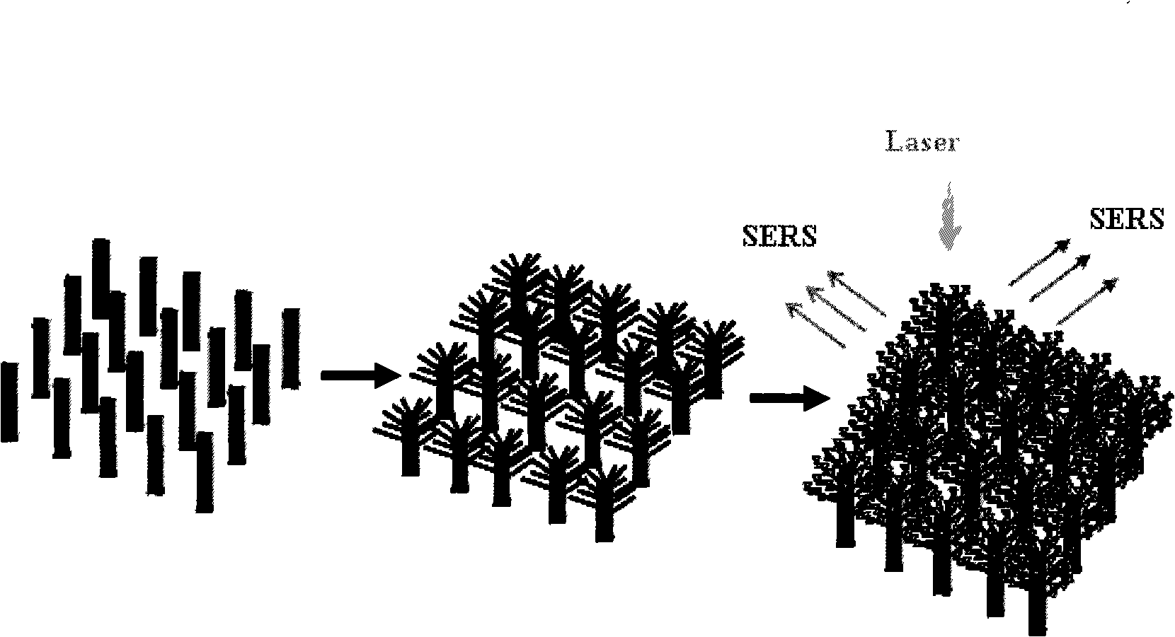 Preparation of surface reinforced Raman active substrate of large area micro-nano dendritical structure array