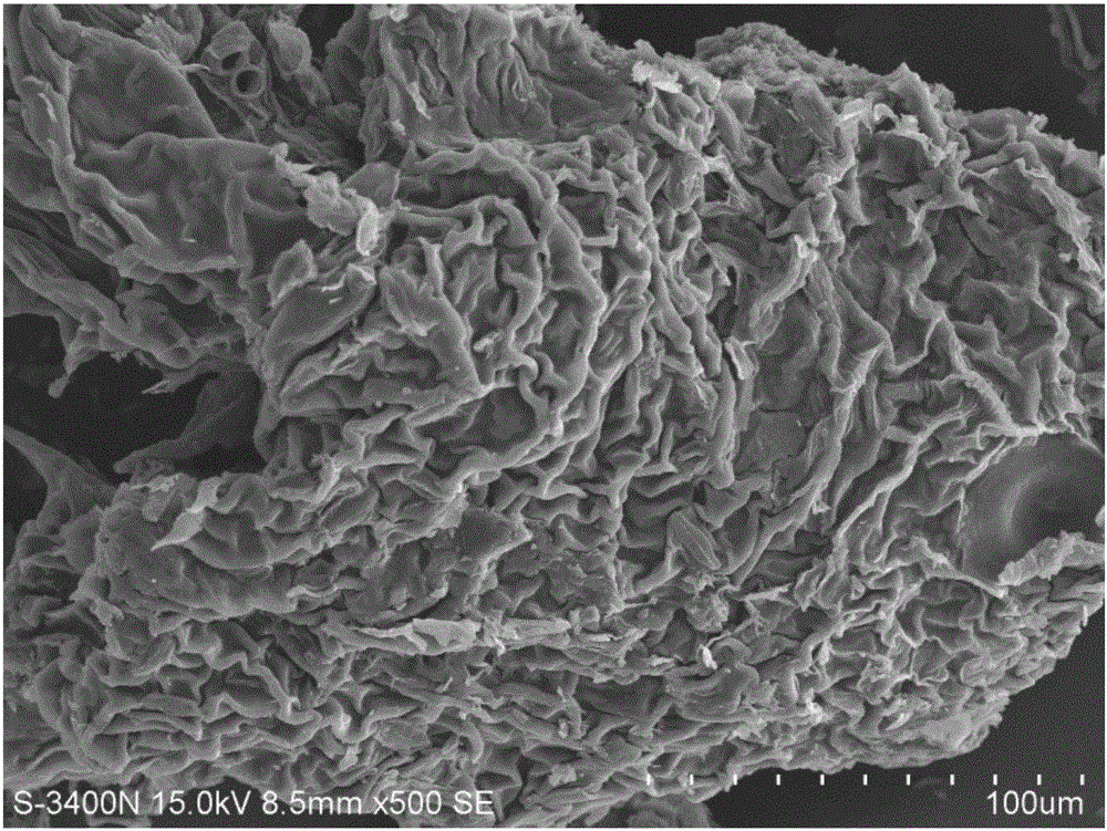 Graphene clad micro-pore silkworm excrement and ulfur composite positive electrode material and preparation method