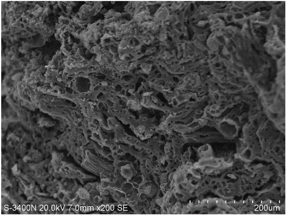 Graphene clad micro-pore silkworm excrement and ulfur composite positive electrode material and preparation method