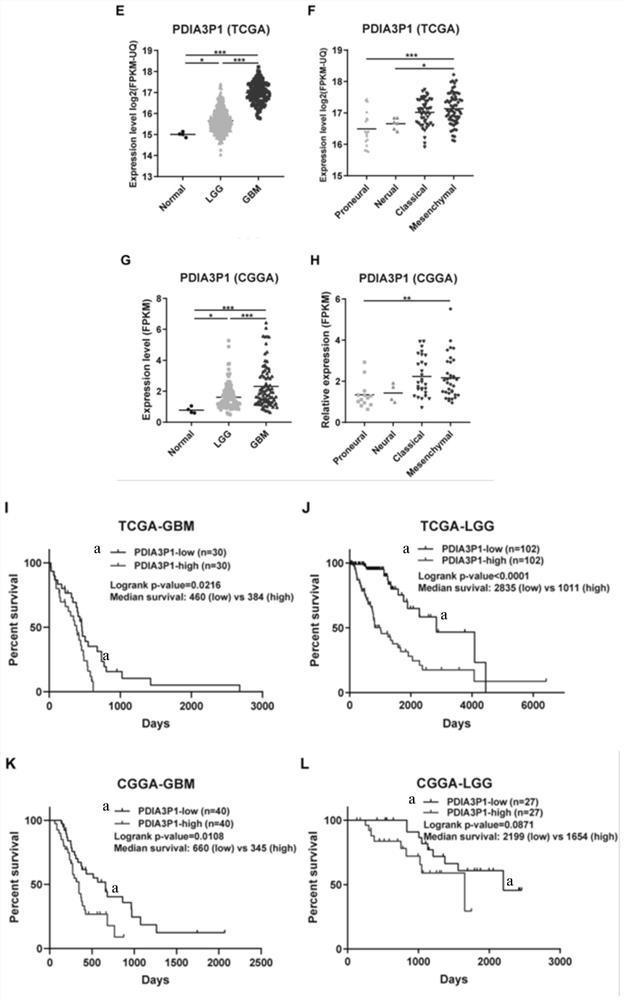 Application of pdia3p1 as a prognostic marker in glioma