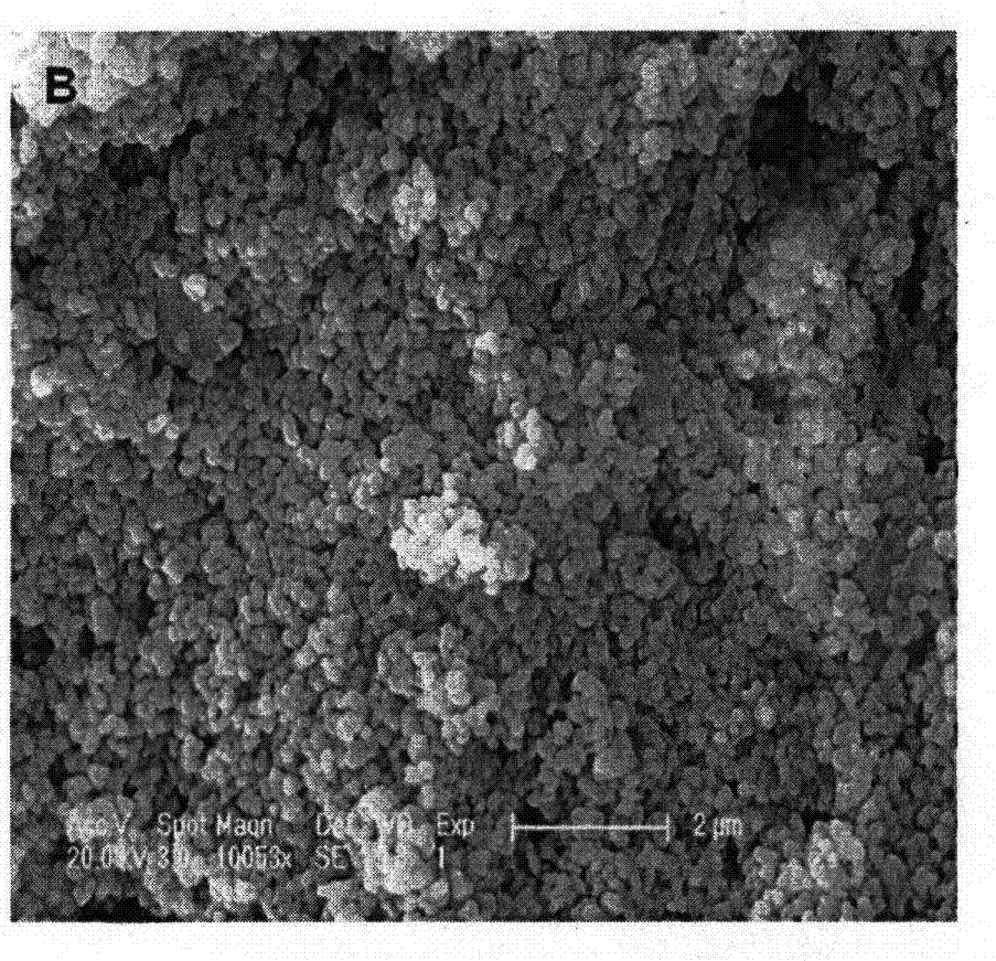 Preparation method of thulium and europium single/co-doped lutetium gallium garnet phosphor