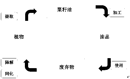 A kind of environment-friendly automobile shock absorber oil and preparation method thereof