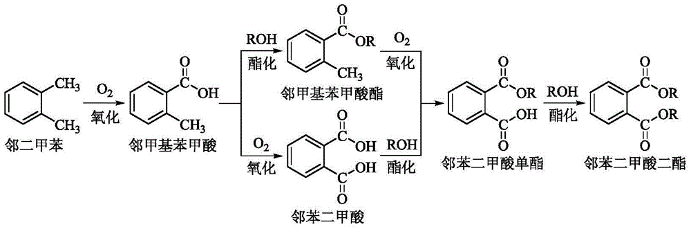 Method for preparation of diester phthalate by o-xylene liquid-phase oxidation and esterification coupling