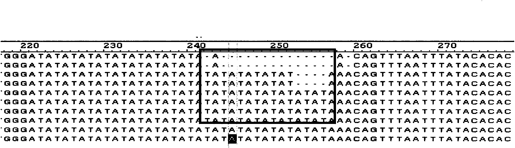 Method for obtaining EST-SSR mark