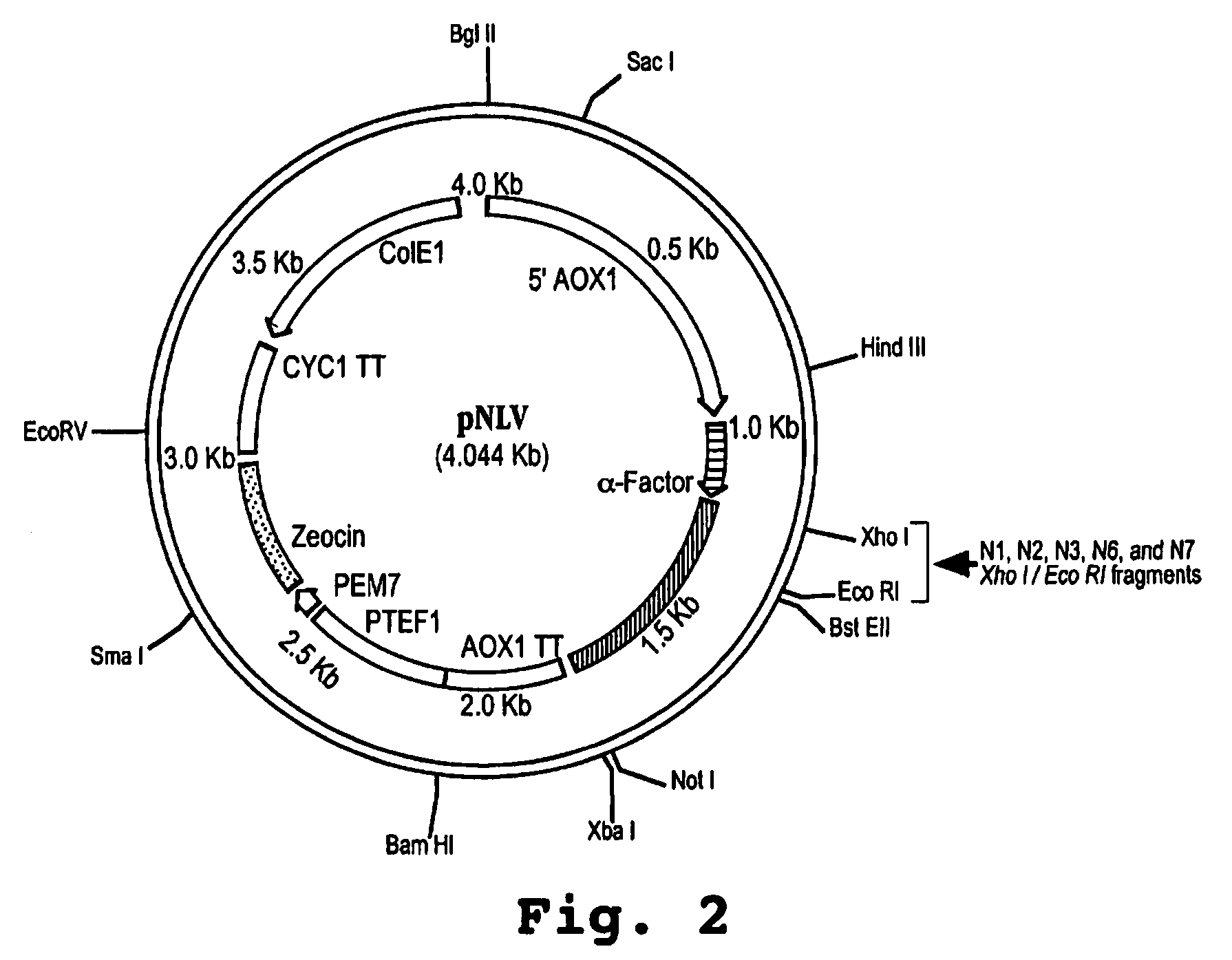 Antitumor and antiviral combination therapies using low-toxicity, long-circulating human interferon-alpha analogs