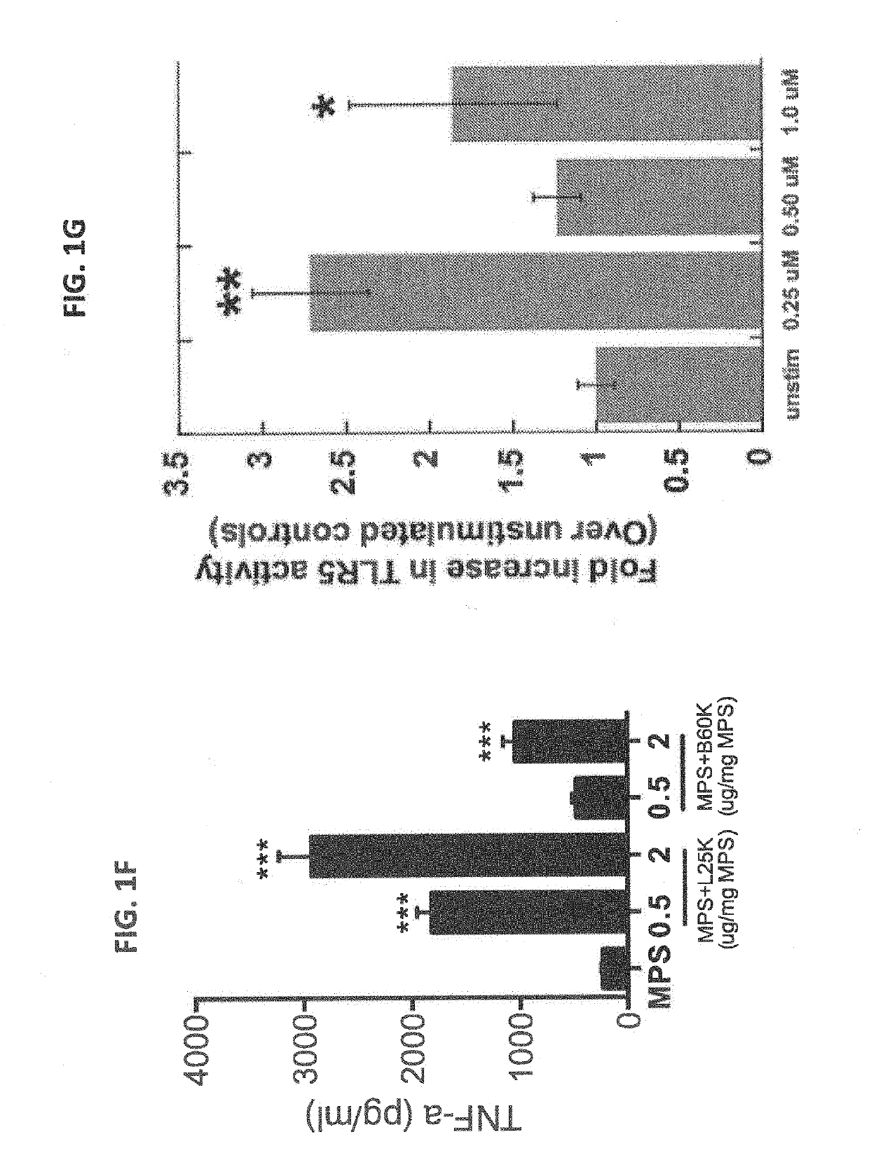 Biomaterials for modulating immune responses