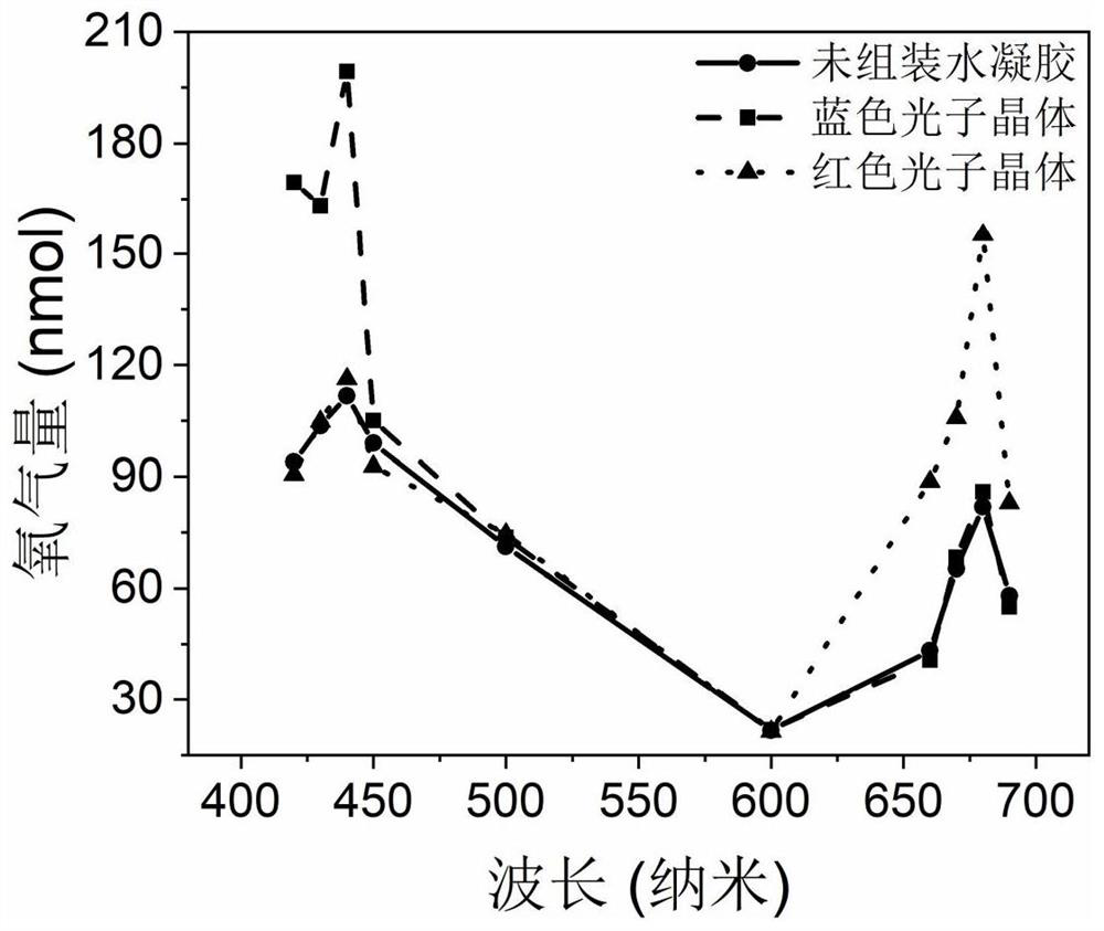 Method for improving light energy utilization rate of photosynthetic pigment by utilizing slow photon effect of photonic crystal