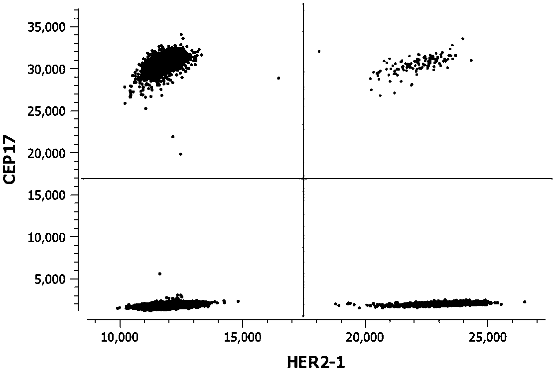 Kit for detecting copy number variation of HER-2 gene by virtue of digital PCR technique and method