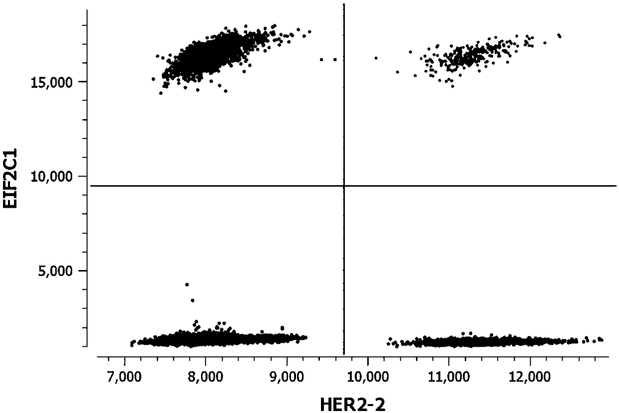 Kit for detecting copy number variation of HER-2 gene by virtue of digital PCR technique and method