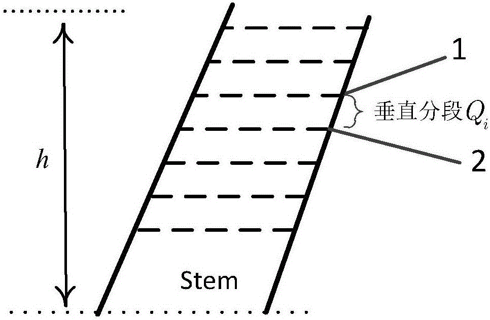 Trunk surface model-based trunk volume obtaining method