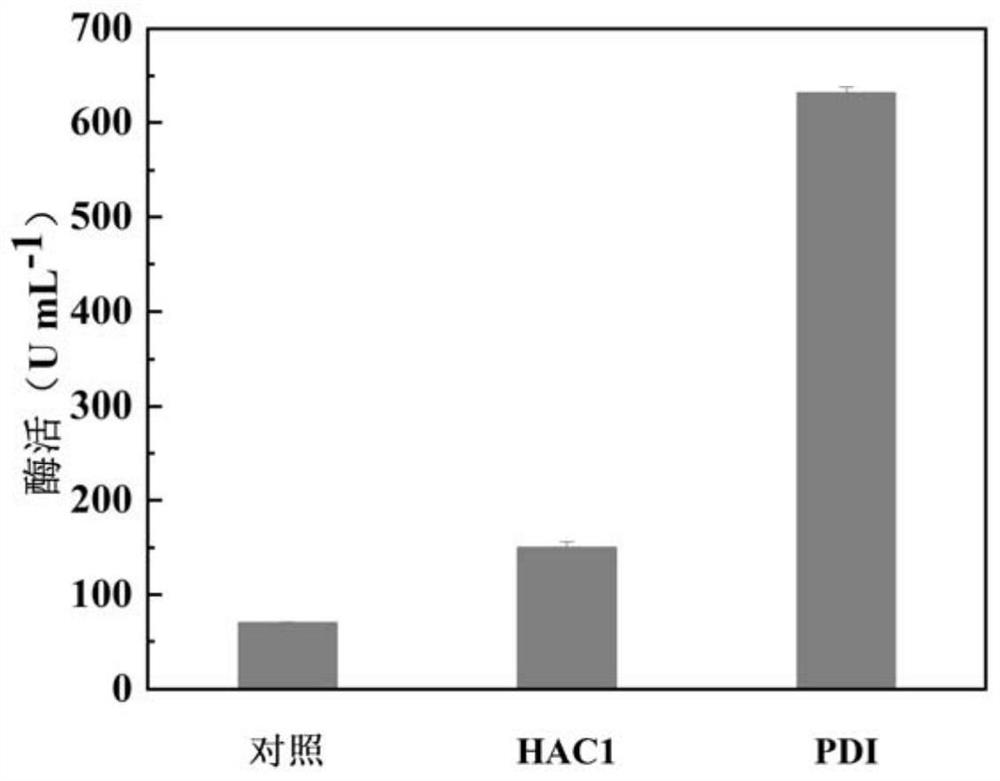 A kind of aspergillus oryzae phospholipase c and its coding gene and application