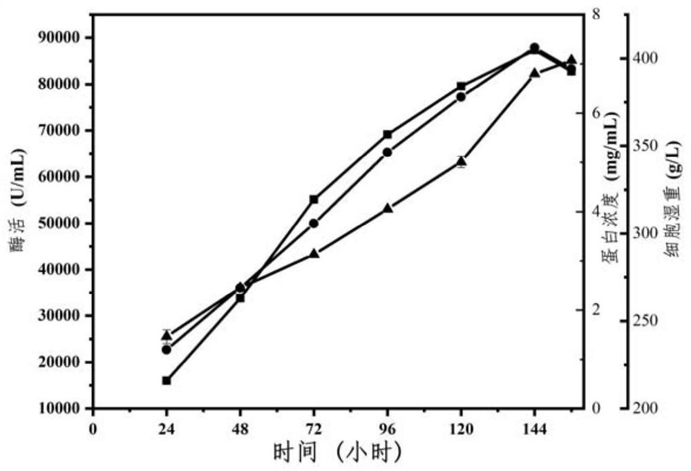 A kind of aspergillus oryzae phospholipase c and its coding gene and application