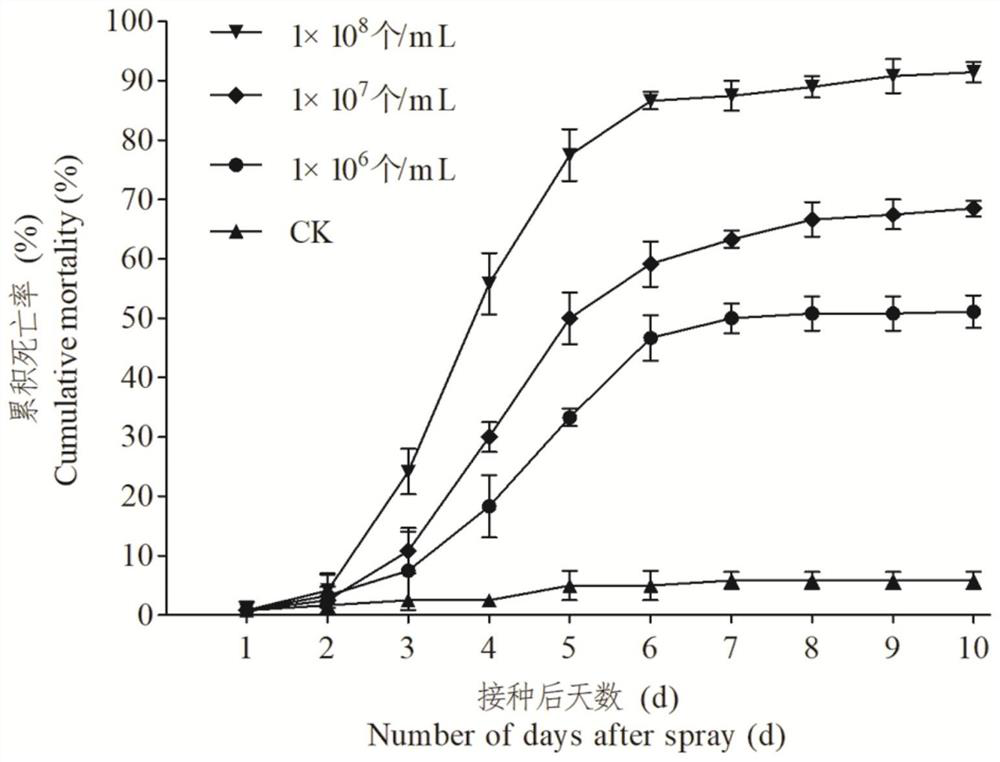 A kind of biological source insecticide and preparation method thereof