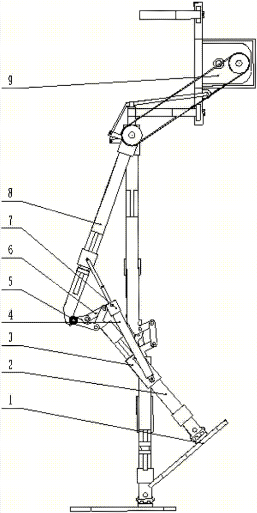 Knee joint structure used for lower limb exoskeleton robot