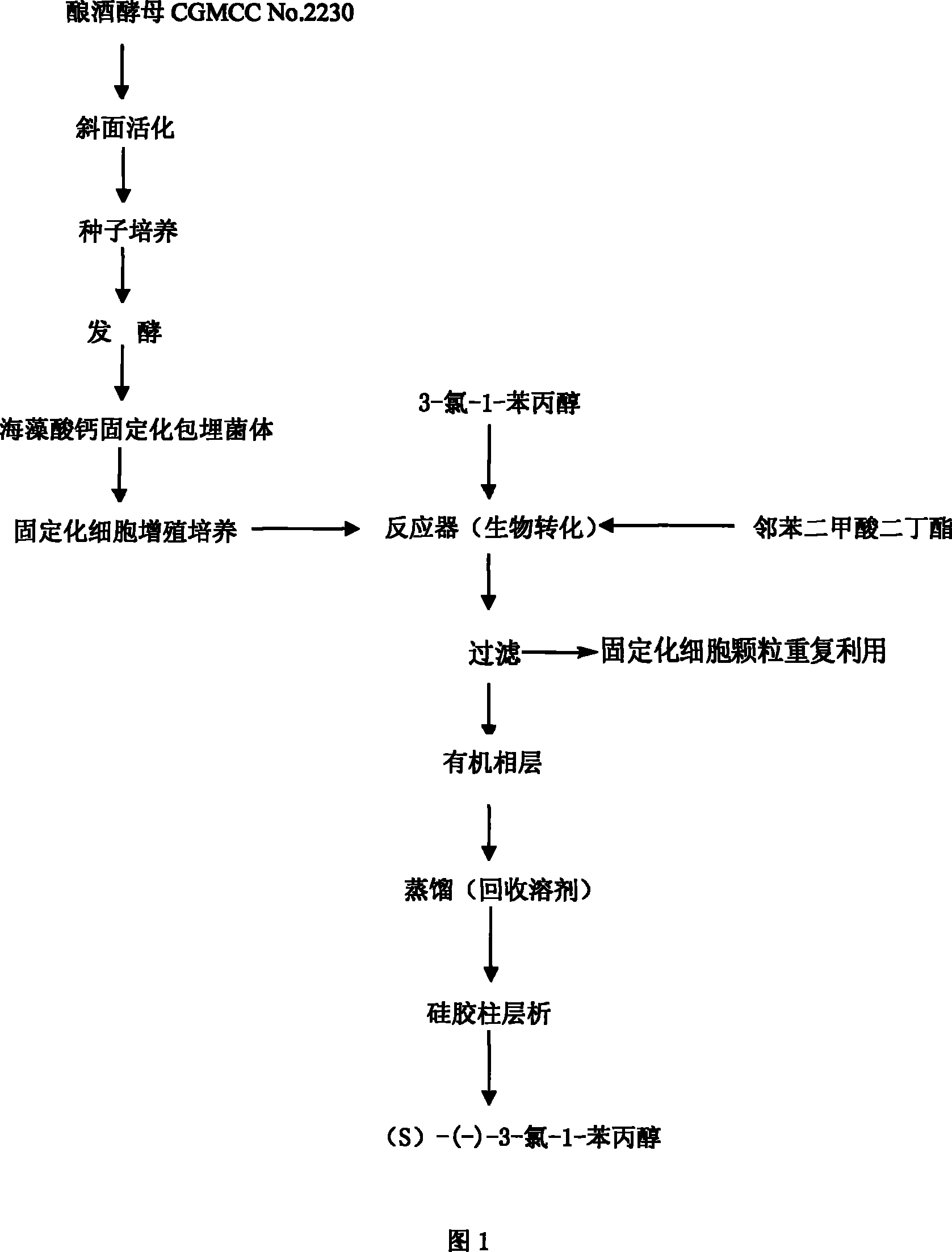 Use of saccharomyces cerevisiae in preparation of (S)-(-)-3-chlorine-1-phenylpropanol