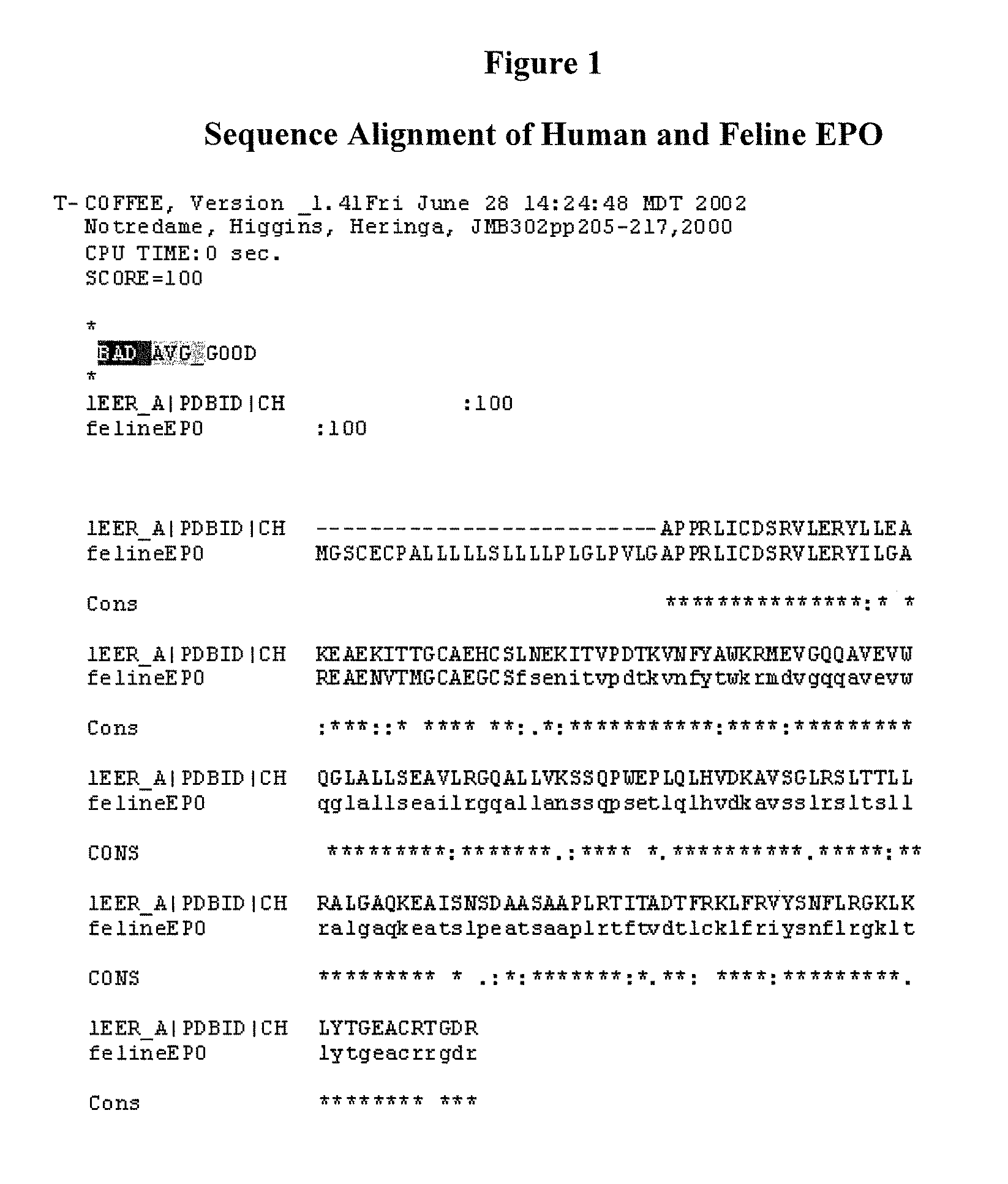 Modified animal erythropoietin polypeptides and their uses