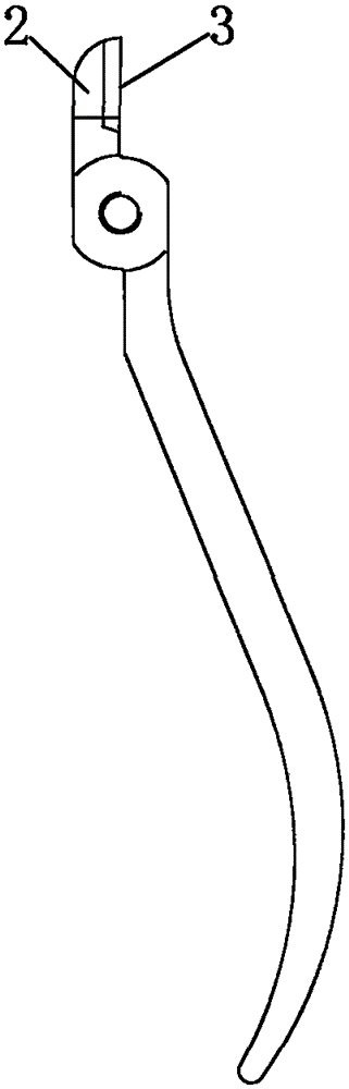 Medical clamp and processing method thereof