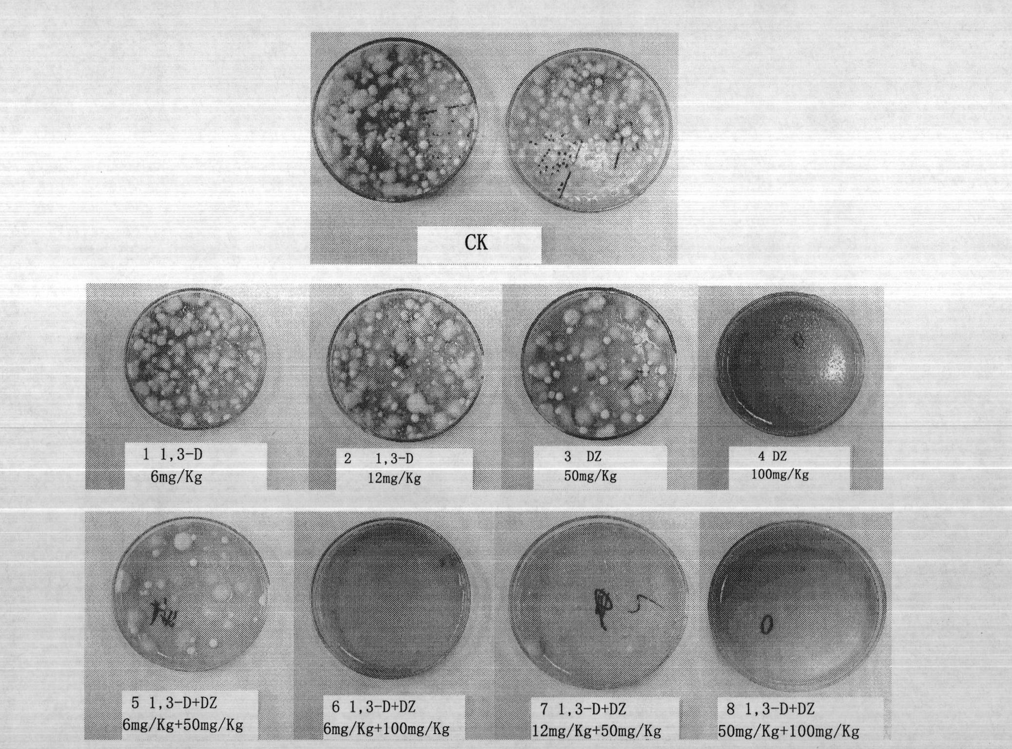 Mixed application technology for controlling root-knot nematodes, soil-borne pathogenic fungi, and weeds