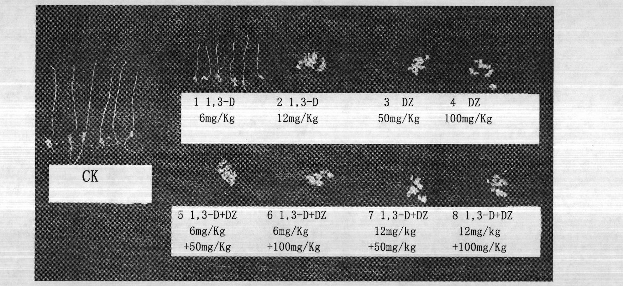 Mixed application technology for controlling root-knot nematodes, soil-borne pathogenic fungi, and weeds