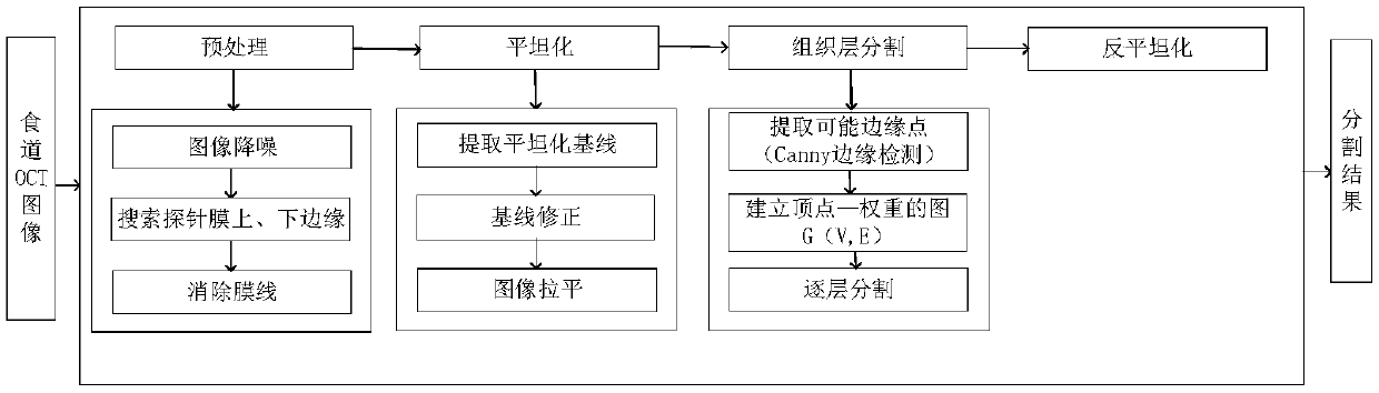 Automatic segmentation method and system of esophageal endoscopic OCT image hierarchy structure