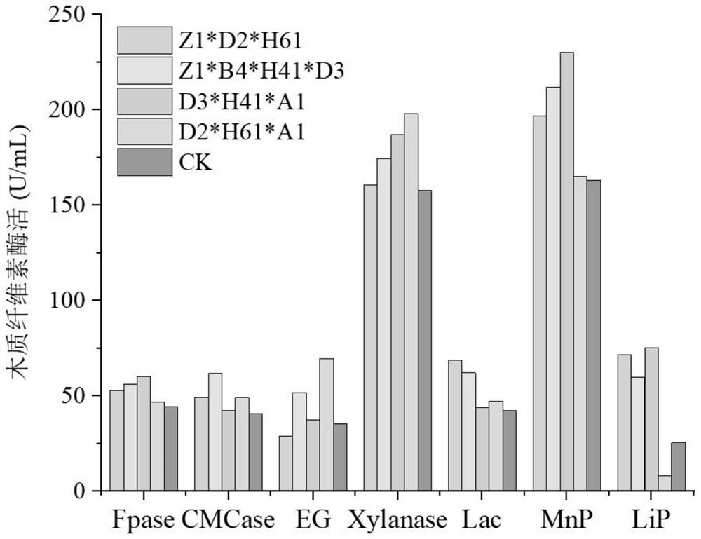 T-grade composite microbial inoculant as well as preparation method and application thereof