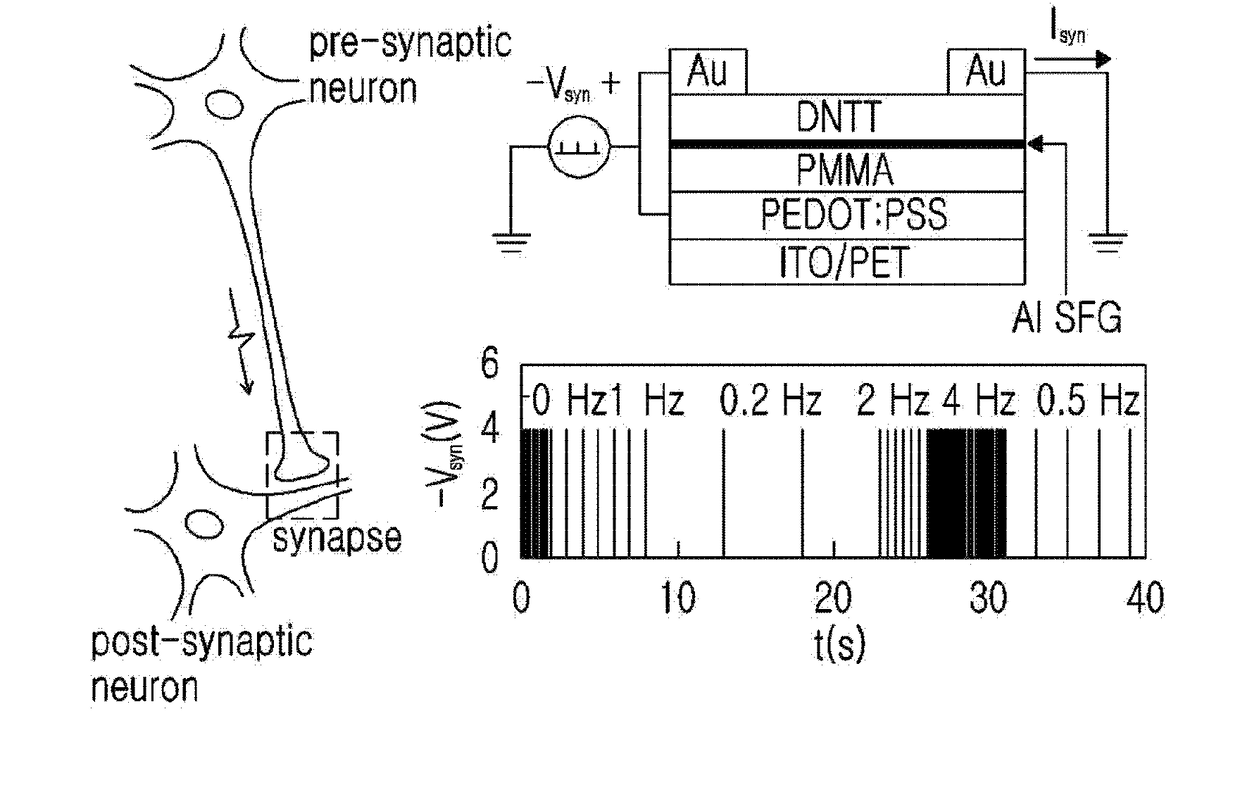 Synaptic transistor based on metal nano-sheet and method of manufacturing the same