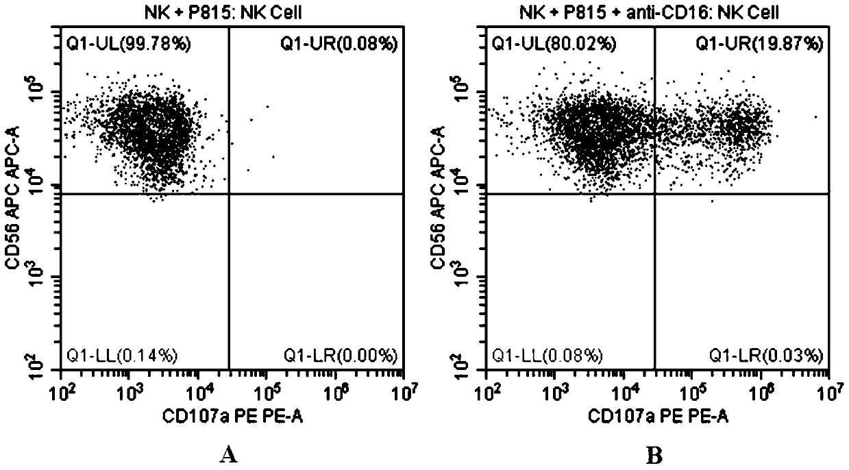 Flow Cytometry Assay for Natural Killer Cell Degranulation