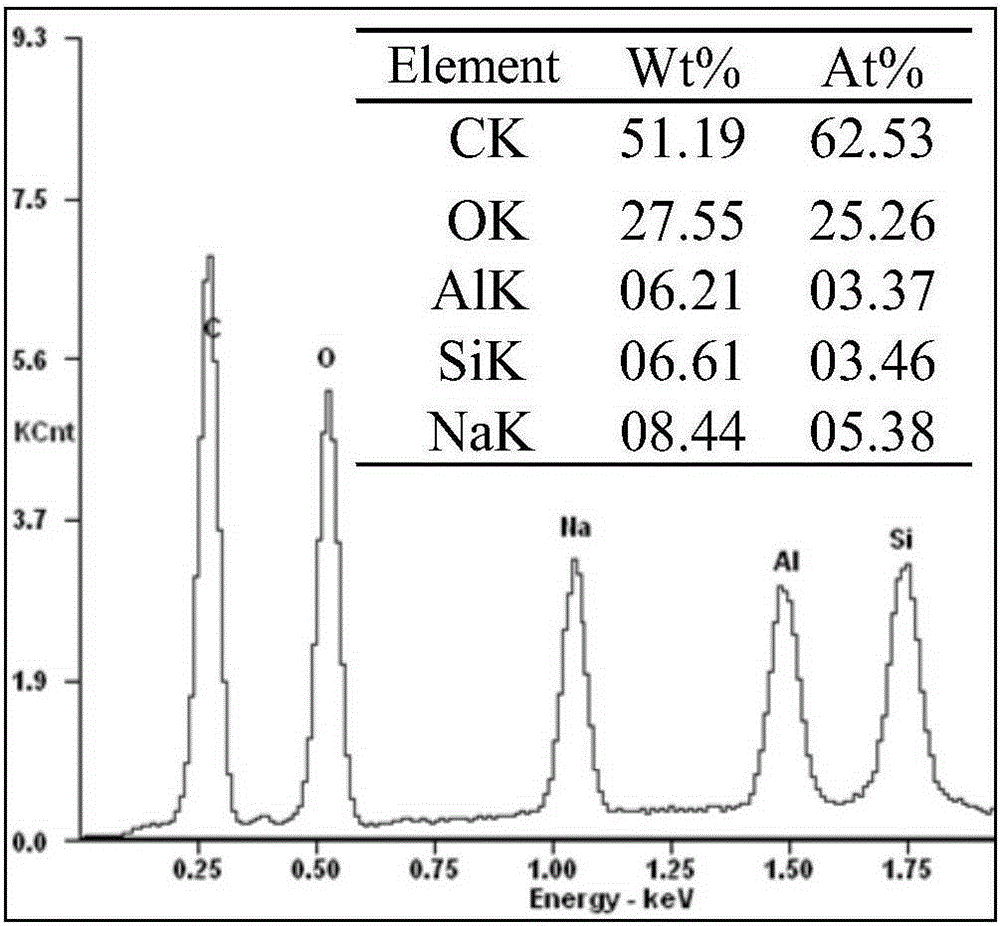 PH responsive microcapsule type protein vaccine vector and preparation method thereof