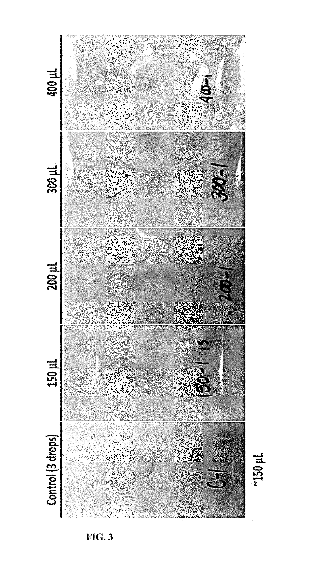 Method for preparing mammalian tissue for storage, implant, and transplant