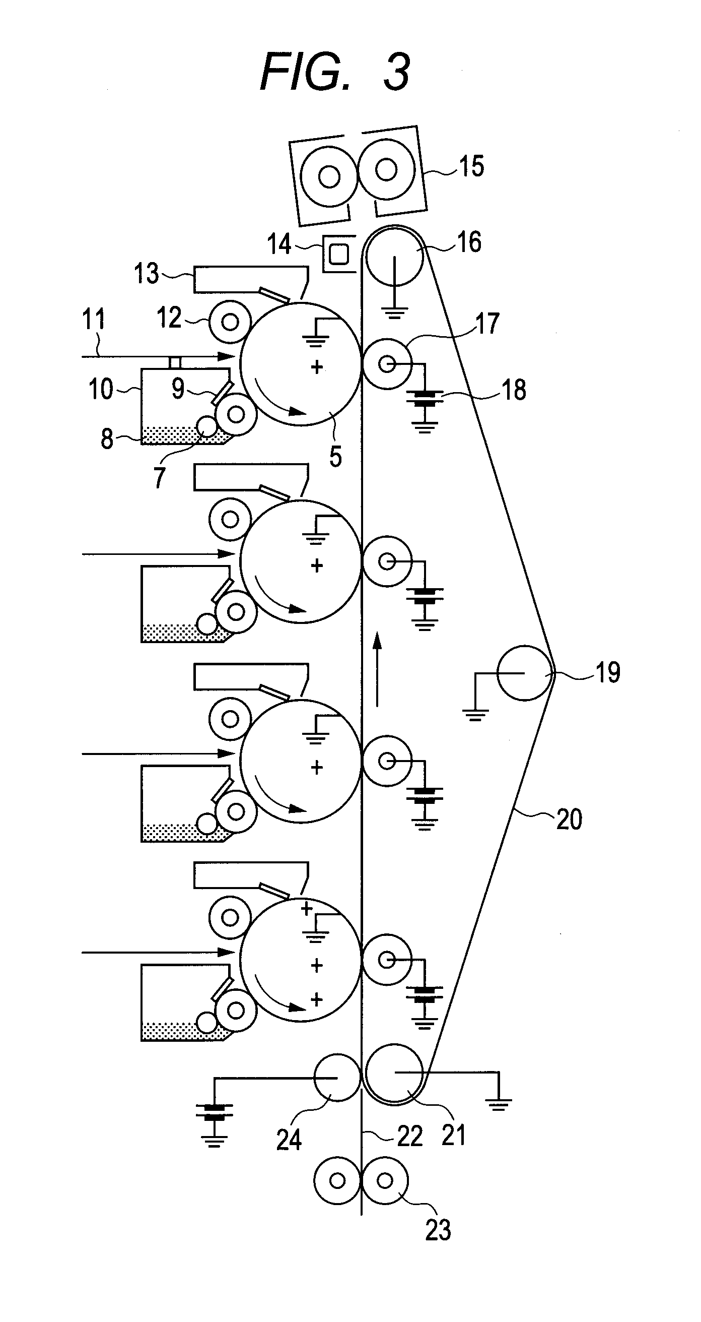 Developer support member, electrophotographic process cartridge and electrophotographic image forming apparatus