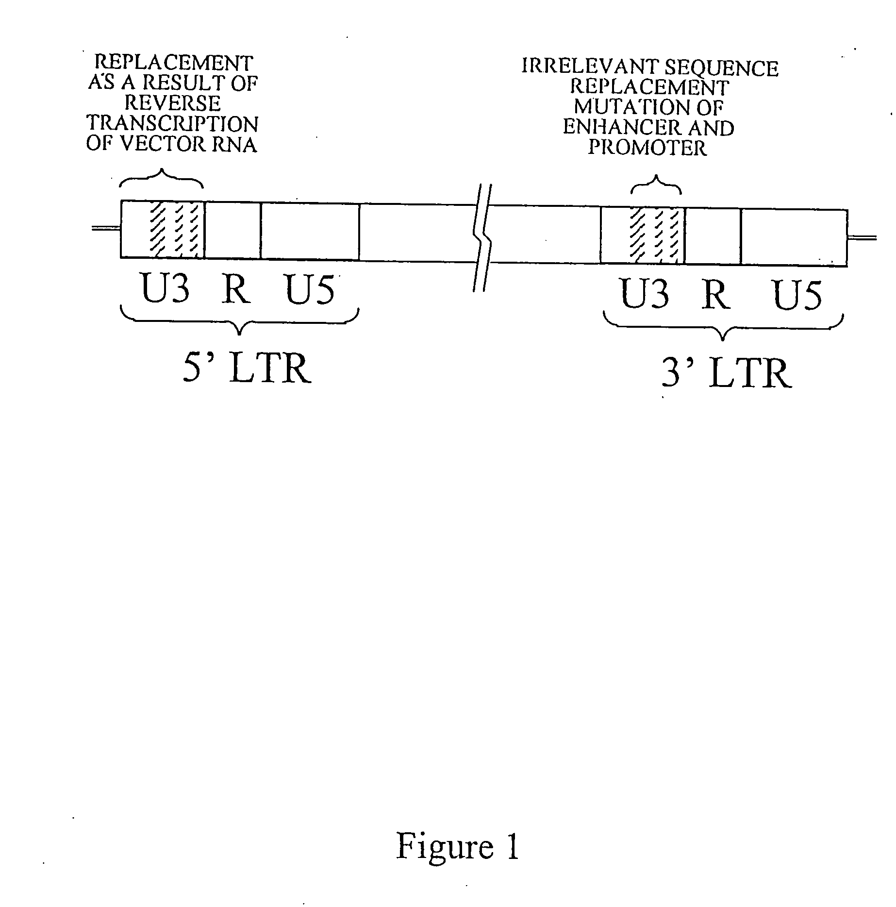 Viral vectors with surface or envelope components