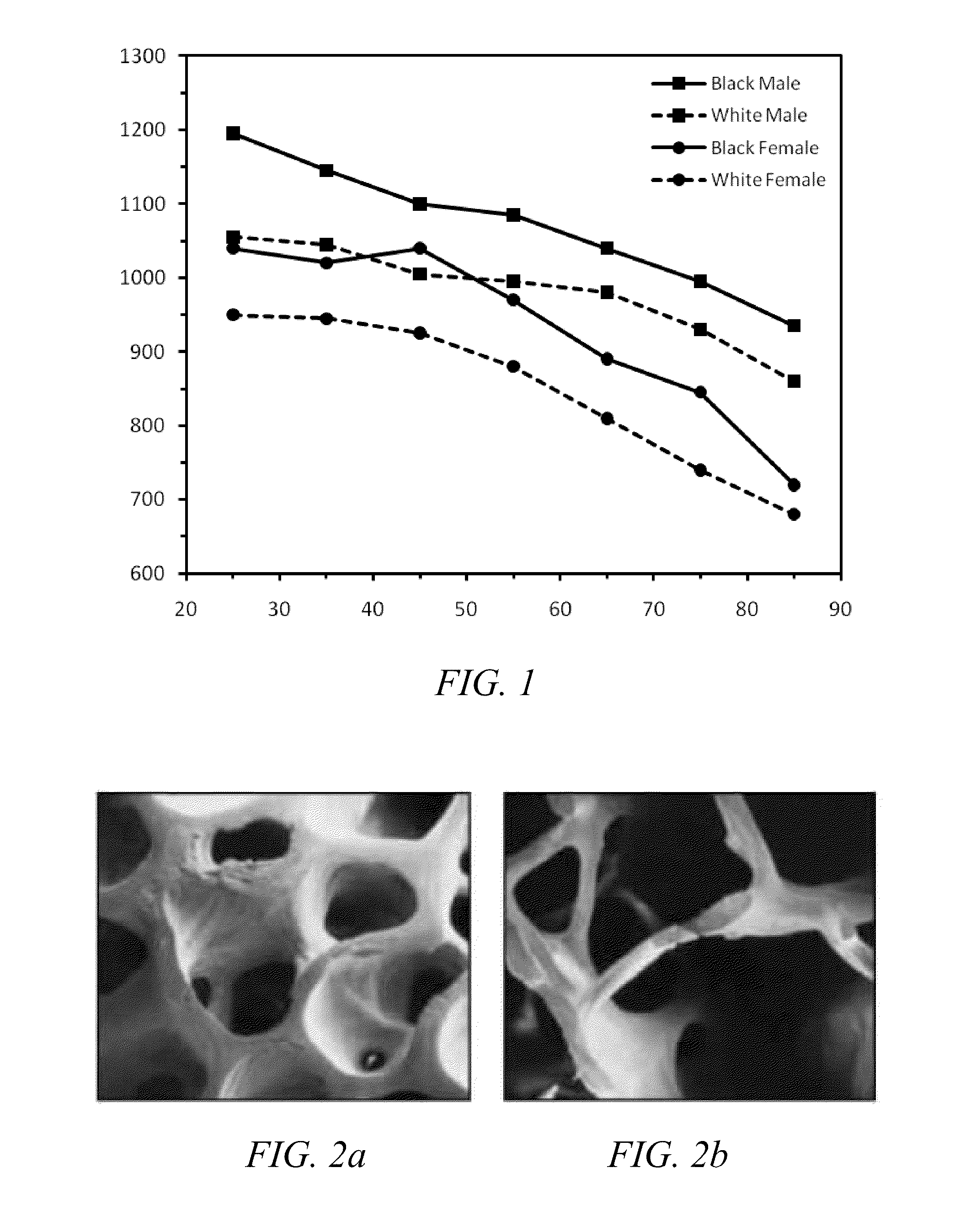 Methods of treating degenerative bone conditions