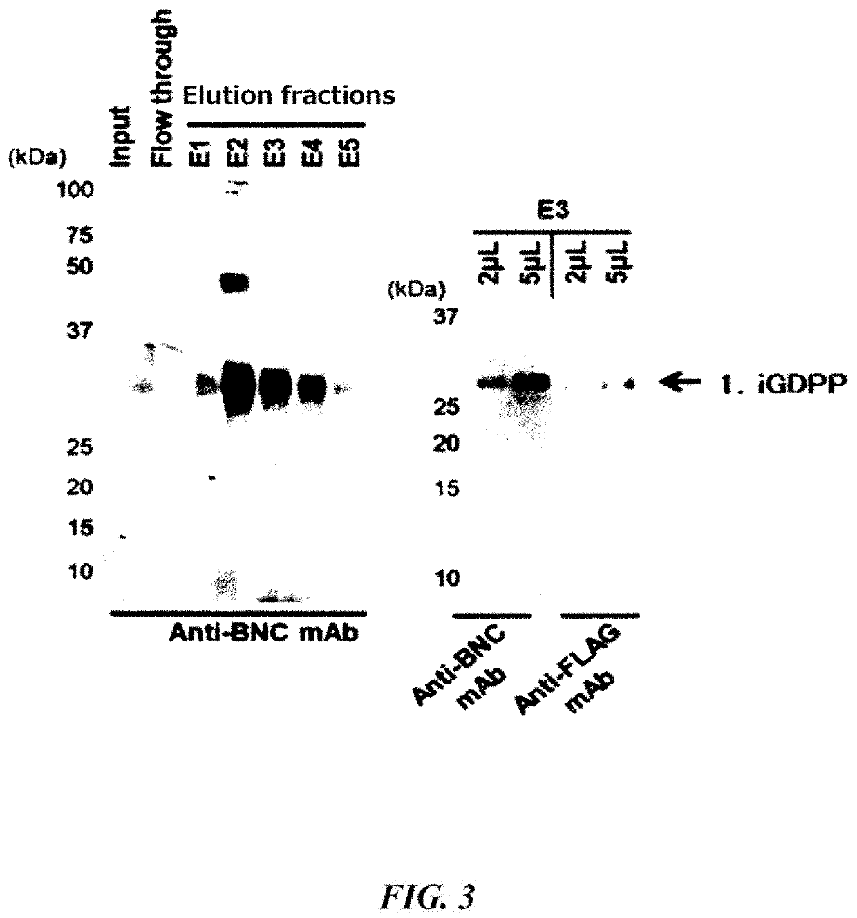 Methods for detecting cancers, and detecting reagent