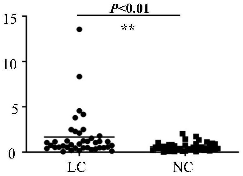 Application of PEFL-1 detection reagent in preparation of lung cancer screening kit